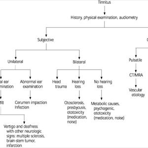  How Tinnitus Maskers Soothe The Tinnitus Patients?