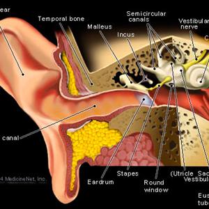 Buzzing Ear In - Relief For Tinnitus